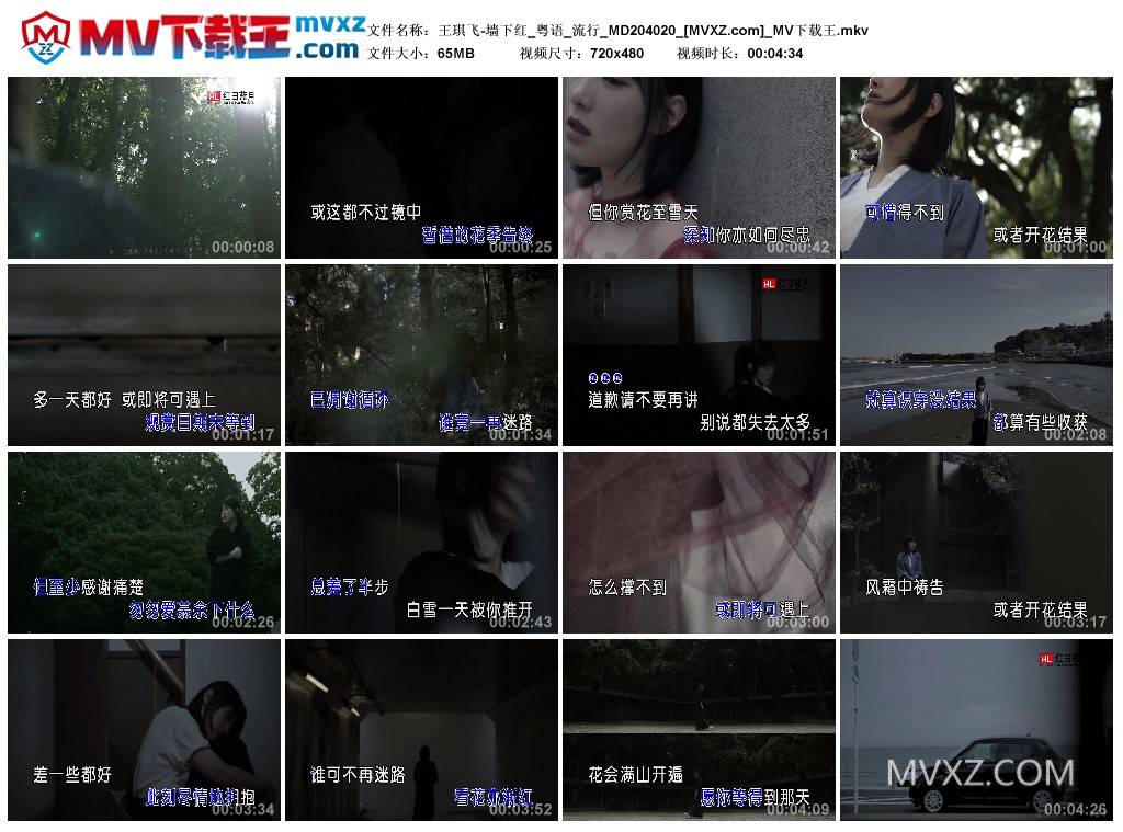 王琪飞-墙下红_粤语_流行_MD204020